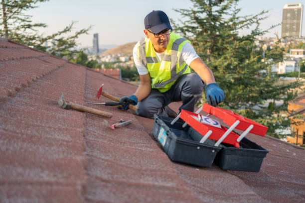 Best Demolition Debris Removal  in Edgemont Park, MI